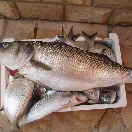 Bougainvillea--apartment By The Sea Ston