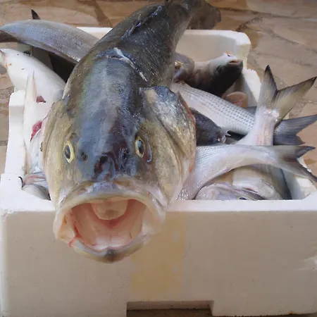 Bougainvillea--apartment By The Sea * Ston
