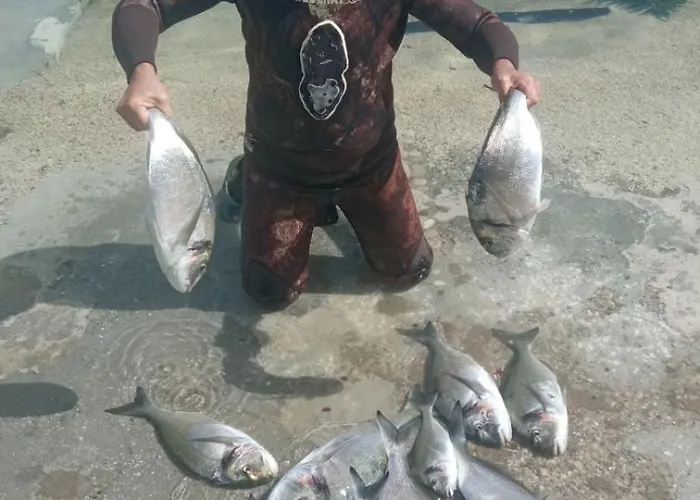 Appartamento Bougainvillea--apartment By The Sea Ston