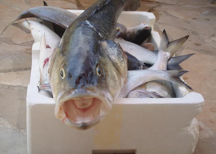 Bougainvillea--apartment By The Sea * Ston