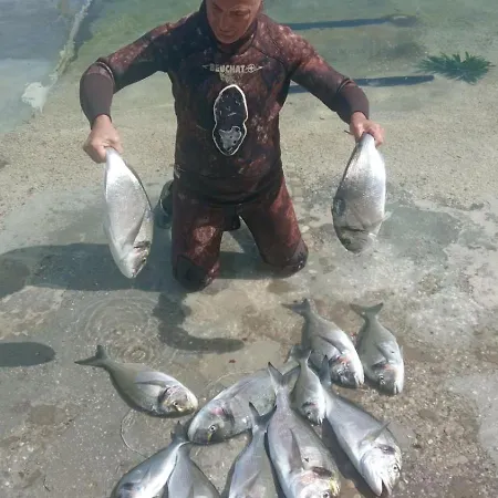 Διαμέρισμα Bougainvillea--apartment By The Sea Ston