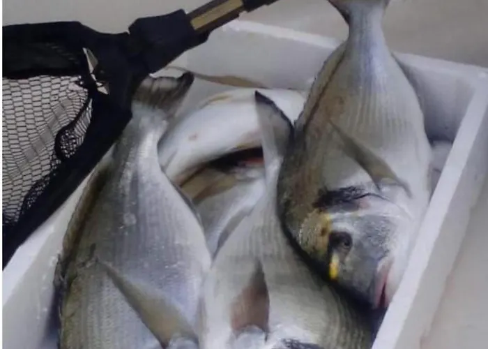 Bougainvillea--apartment By The Sea Apartament Stone Harbor