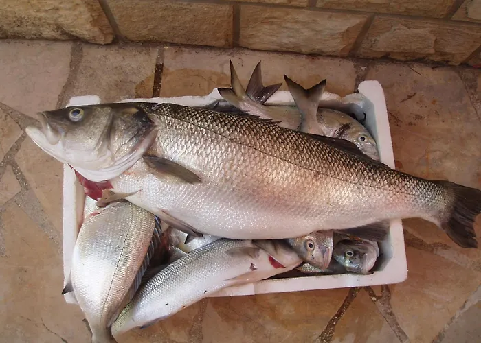 Bougainvillea--apartment By The Sea Stone Harbor
